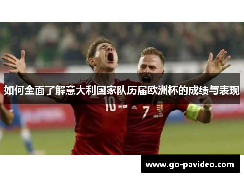 如何全面了解意大利国家队历届欧洲杯的成绩与表现